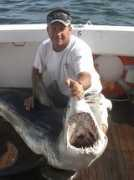 bigrocksports.com Lalond