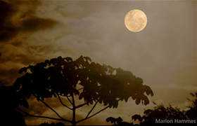 astropoetica.com Laloon