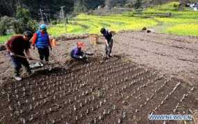 china.org.cn Lamadi