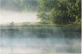 fond-ecran-image.com Lamaine