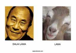 Lamak
