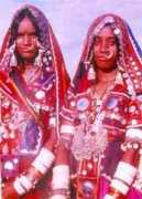 webindia123.com Lambani