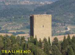 trasimeno.ws Lambardi
