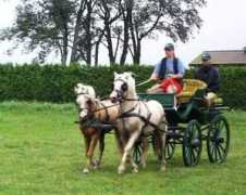 brommekoereforening.dk Lamborg