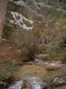 Lamedor