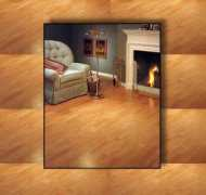 staincare.com.cy Lamella