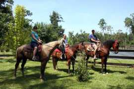 splendorfarms.com Lamendola