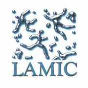 Lamic