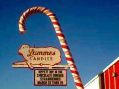 Lammes