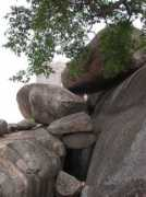 Lamodi