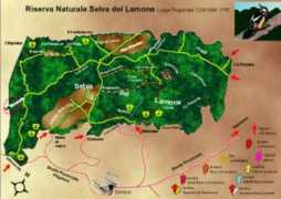 Lamone
