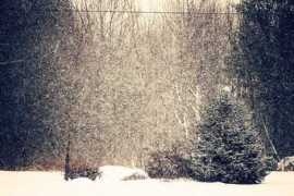sanford.wcsh6.com Lamoreau