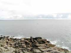 panoramio.com Lamorna