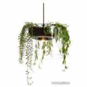thisnext.com Lampel