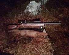 thehuntinglife.com Lamping