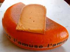 Lamuse