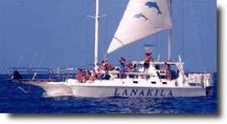 swimwithdolphins.com Lanakila