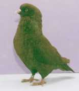 pigeoncote.com Lancar