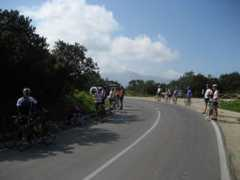 Lancona