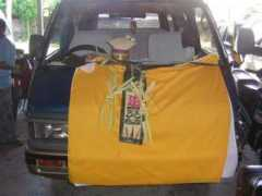 islandyossy.com Landep
