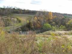 realneo.us Landfill