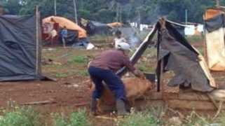 bbc.co.uk Landless