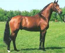 penhaligonstud.co.uk Landor