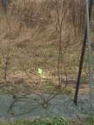 northernwinework.com Landot