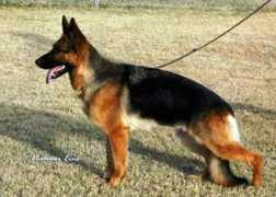 bundaberggsd.com Landra
