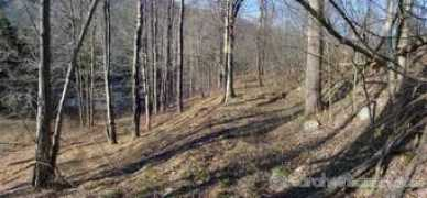 pictures.insanart.com Landrus