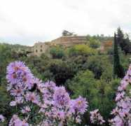 panoramio.com Lanet
