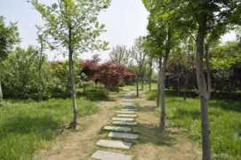 panoramio.com Langge