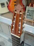 cathedralguitar.com Laniau