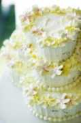 gallery.weddingbee.com Lanilani