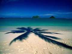 playasycosta.com Lankai