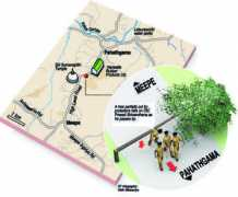 sundaytimes.lk Lankara