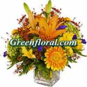 greenfloralinc.net Lanque