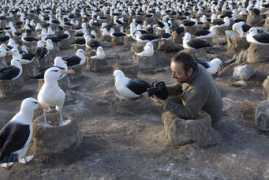 ngm.nationalgeographic.com Lanting