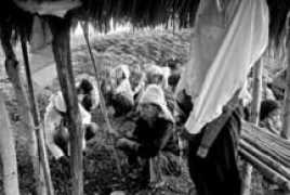 nativeplanet.org Lantong