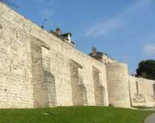 Laon