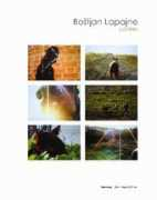 casoriacontemporaryartmuseum.com Lapajne