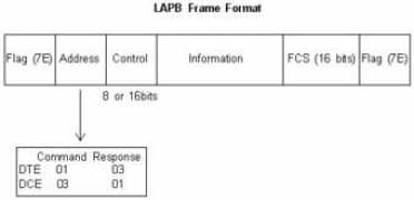 Lapb