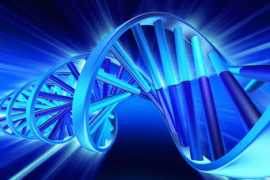 nanotechproject.org Lapietra