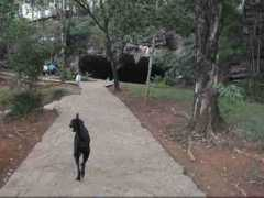 triptobrazil.com Lapinha
