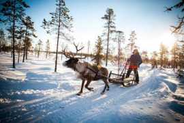 express.co.uk Lapland