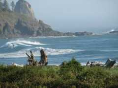 eventidemush.wikidot.com Lapush