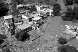 novamerica.org.br Larbac