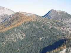 rhinoclimbs.com Larchy