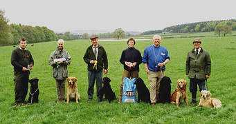 goldenretrievers.co.uk Larisma