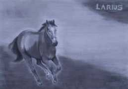 klip-art.dk Larius